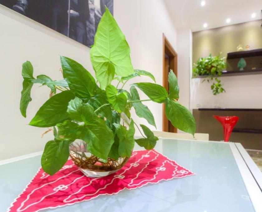 Bed and Breakfast Porta Nuova Marsala Zewnętrze zdjęcie